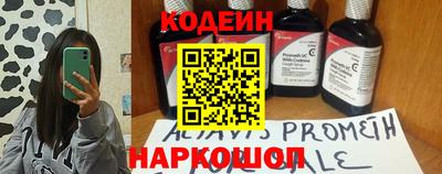 индика Гусев