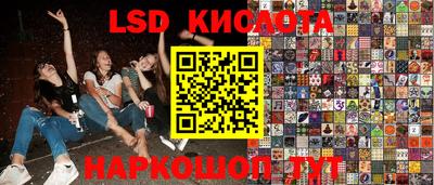 мдпв Донской