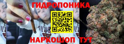индика Гусев