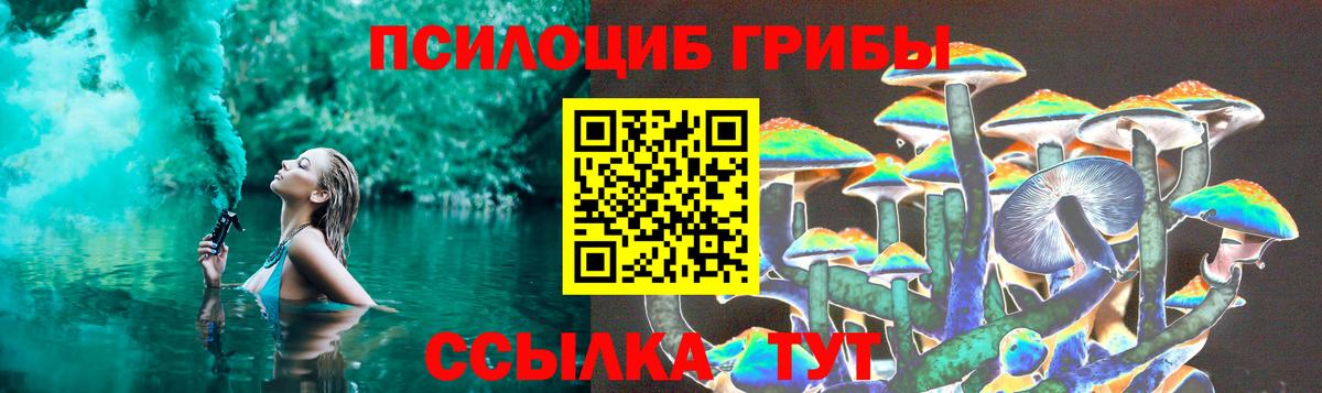 Галлюциногенные грибы Cubensis  Вход с VPN  Псилоцибиновые грибы Cubensis  Нижнеудинск 